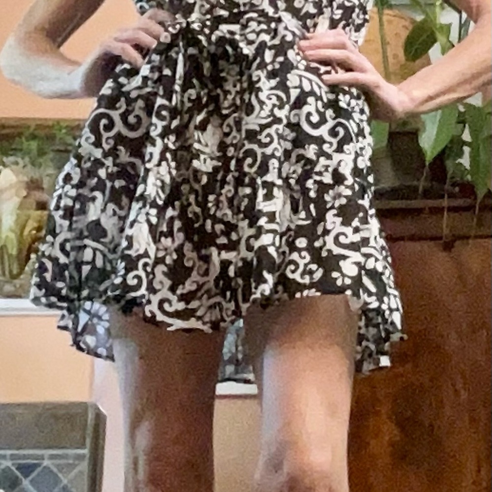 SALONI ANYTIME MINI DRESS! NWOT! - Picture 4 of 10